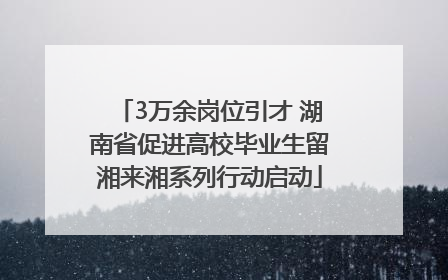 3万余岗位引才 湖南省促进高校毕业生留湘来湘系列行动启动