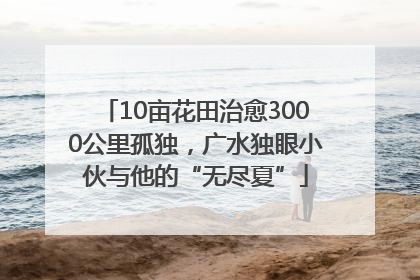 10亩花田治愈3000公里孤独，广水独眼小伙与他的“无尽夏”