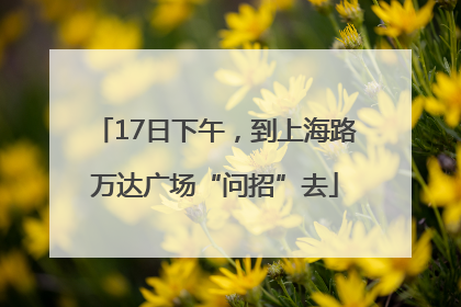 17日下午，到上海路万达广场“问招”去
