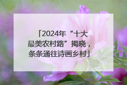 2024年“十大最美农村路”揭晓，条条通往诗画乡村