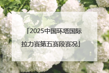 2025中国环塔国际拉力赛第五赛段赛况