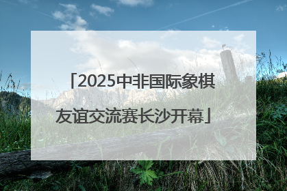 2025中非国际象棋友谊交流赛长沙开幕