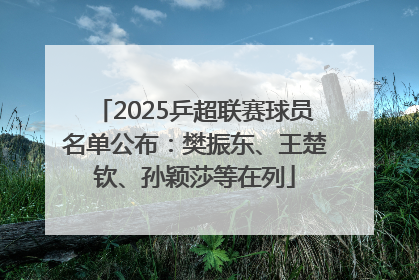 2025乒超联赛球员名单公布：樊振东、王楚钦、孙颖莎等在列