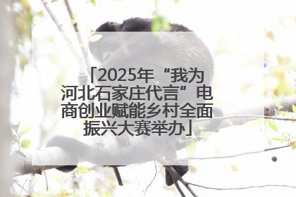 2025年“我为河北石家庄代言”电商创业赋能乡村全面振兴大赛举办