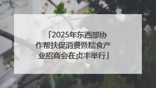 2025年东西部协作帮扶促消费暨糯食产业招商会在贞丰举行