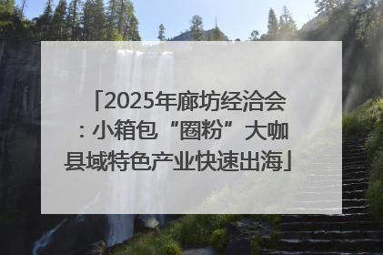 2025年廊坊经洽会：小箱包“圈粉”大咖 县域特色产业快速出海