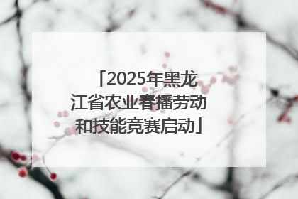 2025年黑龙江省农业春播劳动和技能竞赛启动