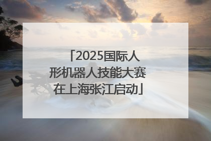 2025国际人形机器人技能大赛在上海张江启动
