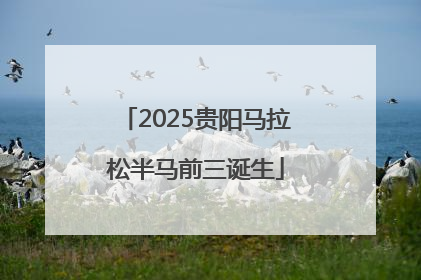 2025贵阳马拉松半马前三诞生