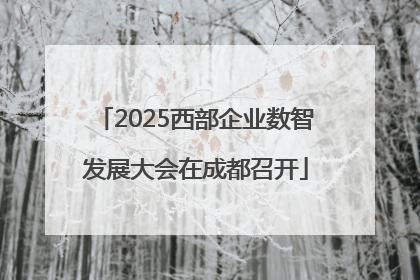2025西部企业数智发展大会在成都召开