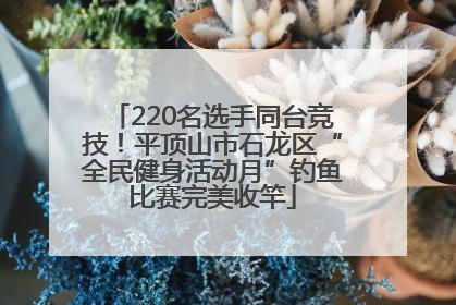 220名选手同台竞技！平顶山市石龙区“全民健身活动月”钓鱼比赛完美收竿