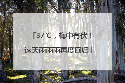 37℃，梅中有伏！这天雨雨雨再度回归