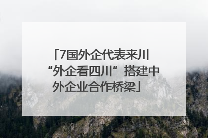 7国外企代表来川 “外企看四川”搭建中外企业合作桥梁