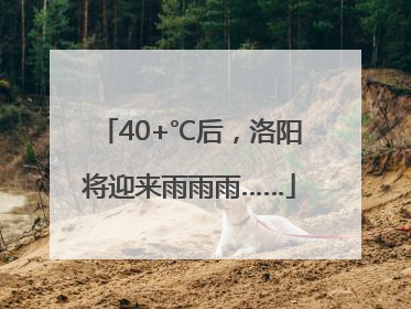 40+℃后，洛阳将迎来雨雨雨……