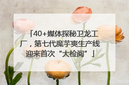 40+媒体探秘卫龙工厂，第七代魔芋爽生产线迎来首次“大检阅”