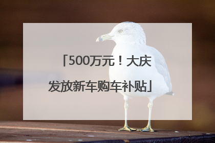 500万元！大庆发放新车购车补贴