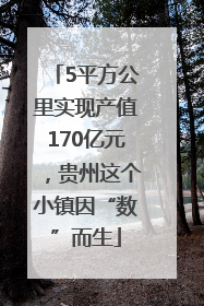 5平方公里实现产值170亿元，贵州这个小镇因“数”而生