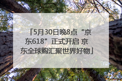 5月30日晚8点“京东618”正式开启 京东全球购汇聚世界好物
