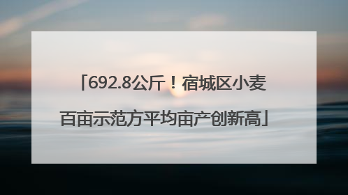 692.8公斤！宿城区小麦百亩示范方平均亩产创新高