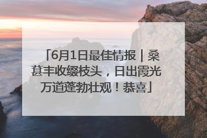 6月1日最佳情报｜桑葚丰收缀枝头，日出霞光万道蓬勃壮观！恭喜