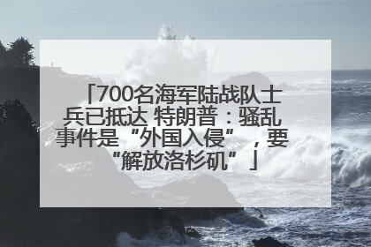 700名海军陆战队士兵已抵达 特朗普：骚乱事件是“外国入侵”，要“解放洛杉矶”