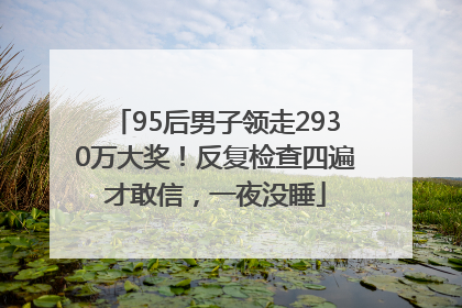 95后男子领走2930万大奖！反复检查四遍才敢信，一夜没睡