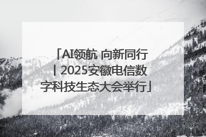 AI领航 向新同行丨2025安徽电信数字科技生态大会举行
