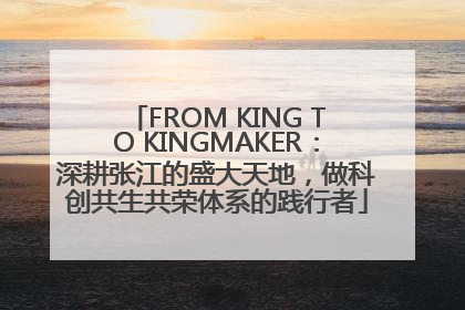FROM KING TO KINGMAKER：深耕张江的盛大天地，做科创共生共荣体系的践行者