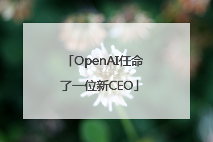 OpenAI任命了一位新CEO