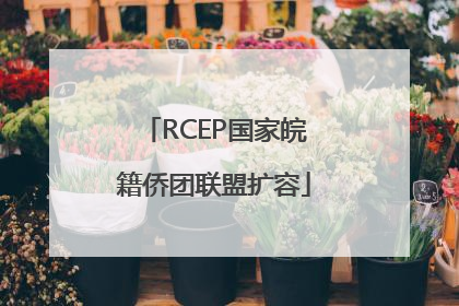 RCEP国家皖籍侨团联盟扩容